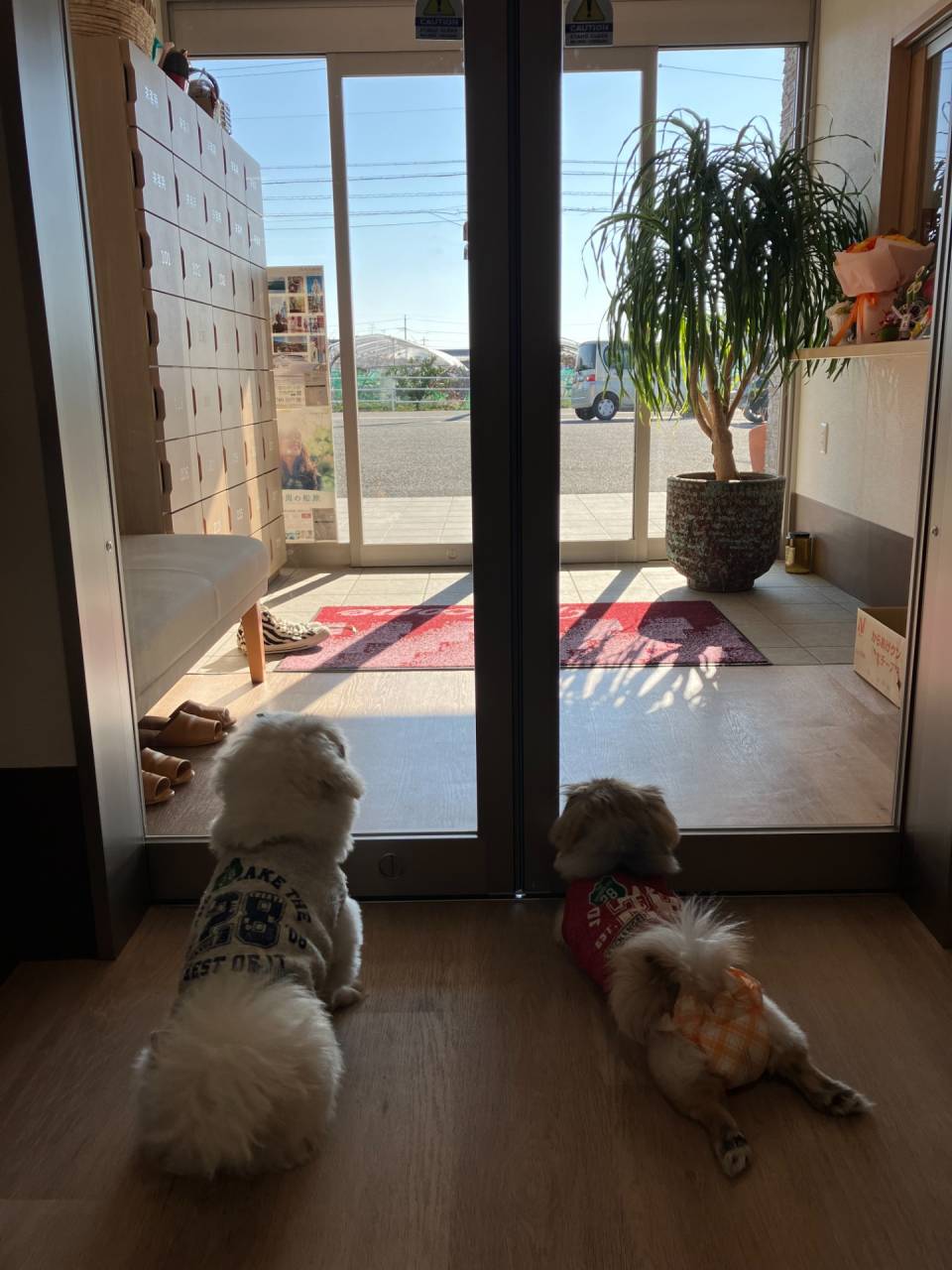 新年あけましておめでとうございます