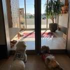 新年あけましておめでとうございます